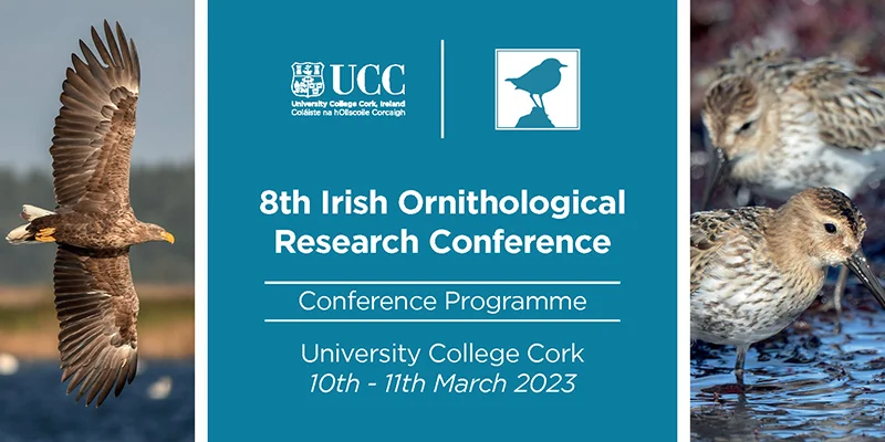 Ornithology Conference at UCC explores the ecology and conservation of birds