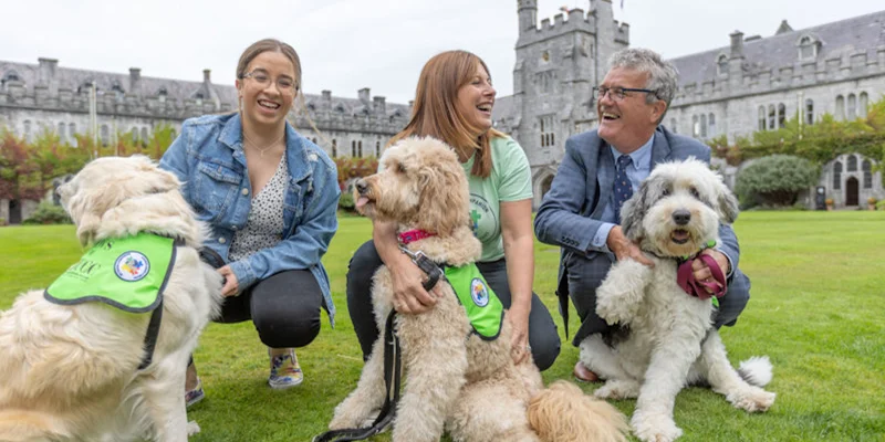 Therapy dogs to optimise wellbeing on UCC campus