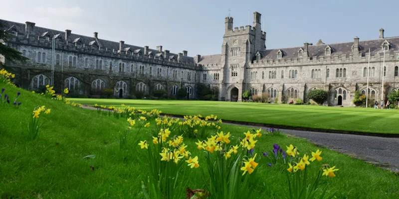 UCC ranked 8th in the world by the Times Higher Education prestigious Impact Rankings

