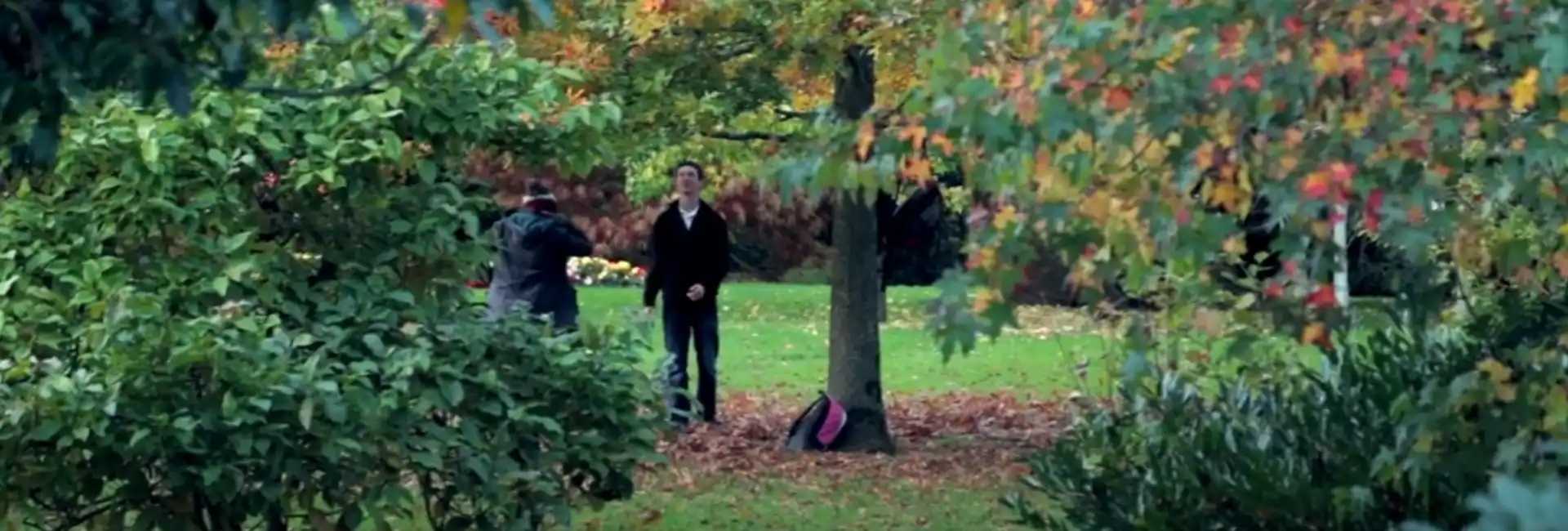 A student plays with a frisbee under an autumnal tree on UCC's grounds