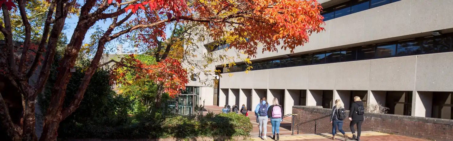 Students walking in front of UCC's Boole Library with a tree with red leaves in the foreground