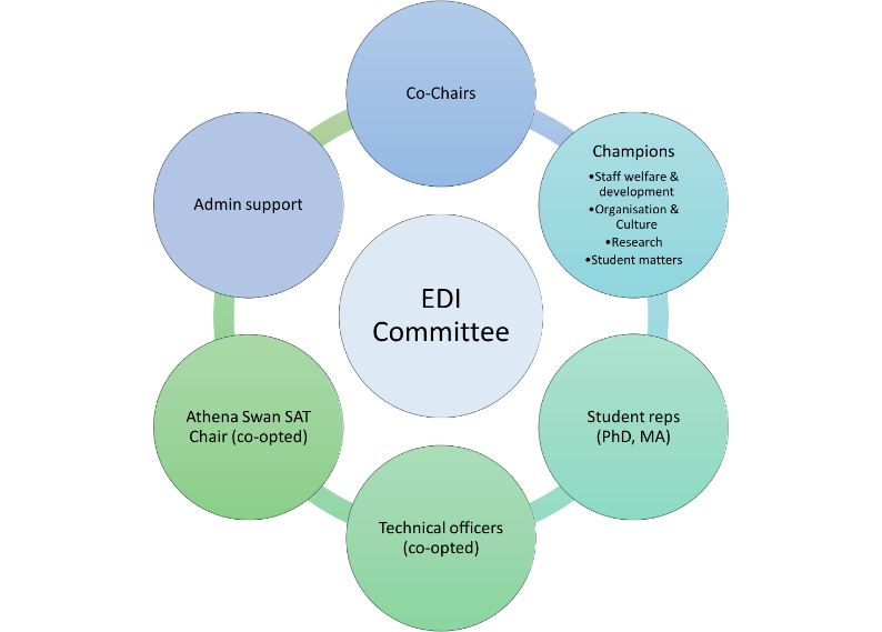 Diagram showing composition of EDI committee Diagram showing composition of EDI committee