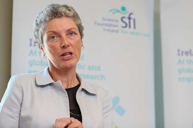 Professor O’Connor giving an overview of her research programme at the launch of the SFI PI awards for 2017.