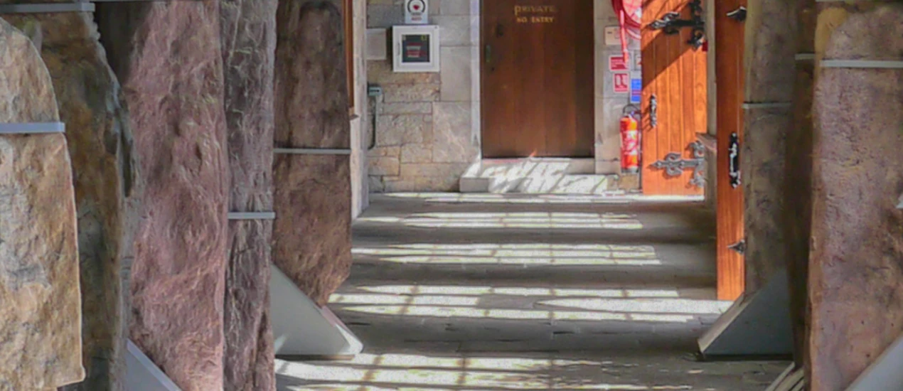 Zenas Feachem Headshot Zenas Feachem Headshot