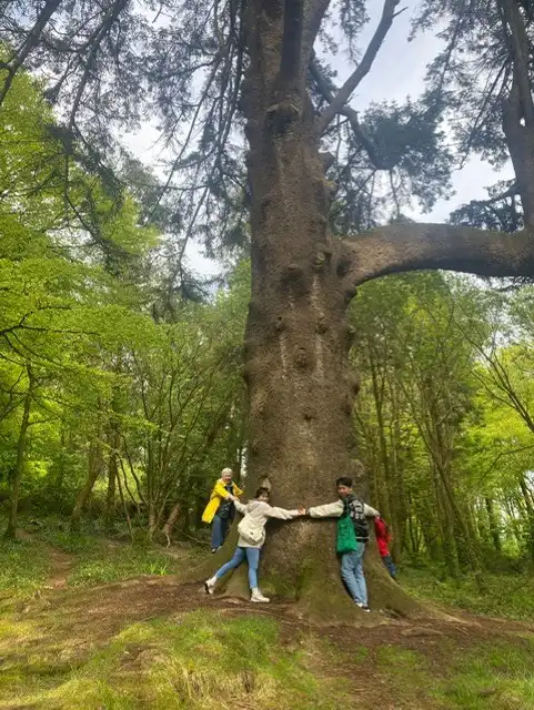Students Hugging tree in Castlefreke Woods Students Hugging tree in Castlefreke Woods
