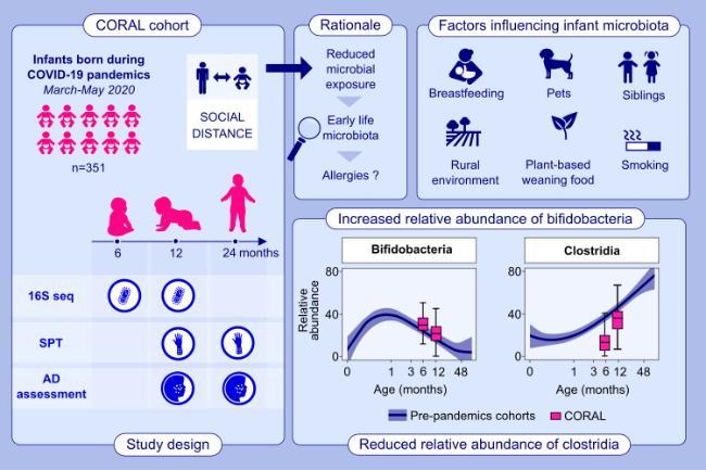 A graphic illustration depicting CORAL study A graphic illustration depicting CORAL study