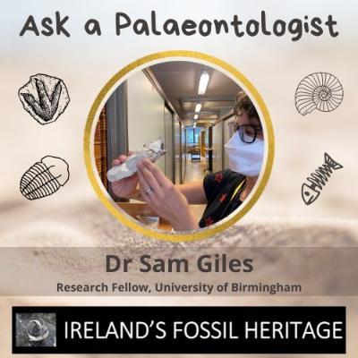 Dr Sam Giles - Ask a Palaeontologist