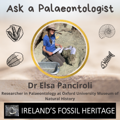Dr Elsa Panciroli - Ask A Palaeontologist