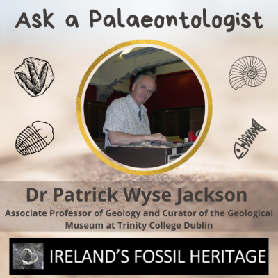 Dr Patrick Wyse Jackson - Ask A Palaeontologist