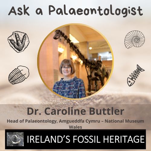 Dr Caroline Buttler - Ask a Palaeontologist