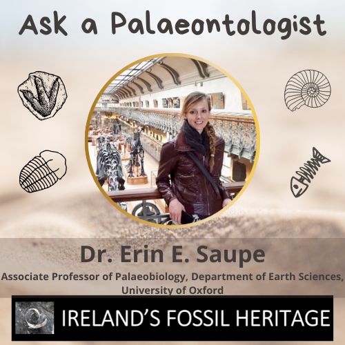 Dr Erin E. Saupe - Ask a Palaeontologist