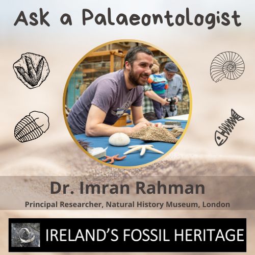 Dr Imran Rahman - Ask a Palaeontologist