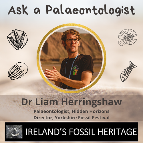 Dr Liam Herringshaw - Ask A Palaeontologist