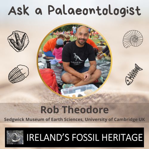 Rob Theodore - Ask a Palaeontologist