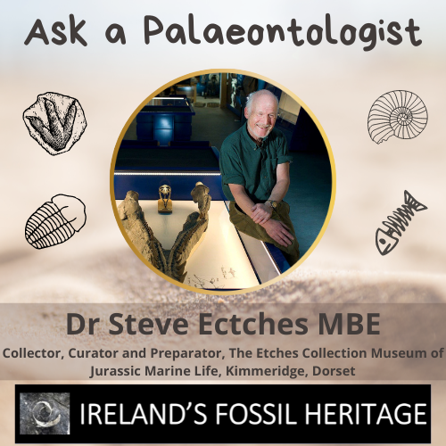 Dr Steve Etches MBE - Ask a Palaeontologist
