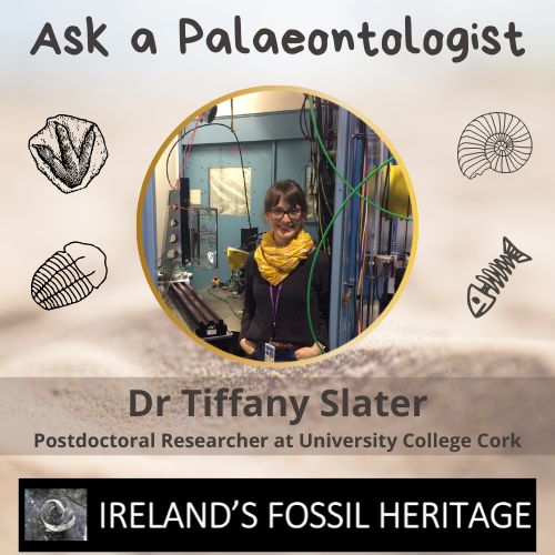 Dr Tiffany Slater - Ask a Palaeontologist