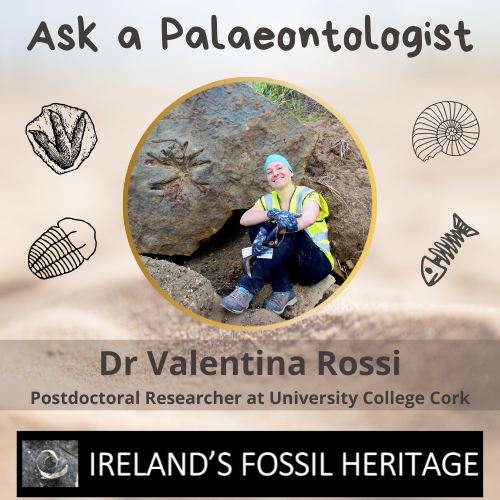 Dr Valentina Rossi - Ask a Palaeontologist