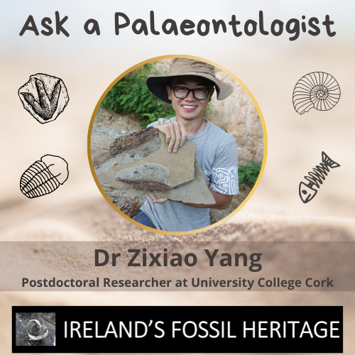 Dr Zixiao Yang - Ask a Palaeontologist