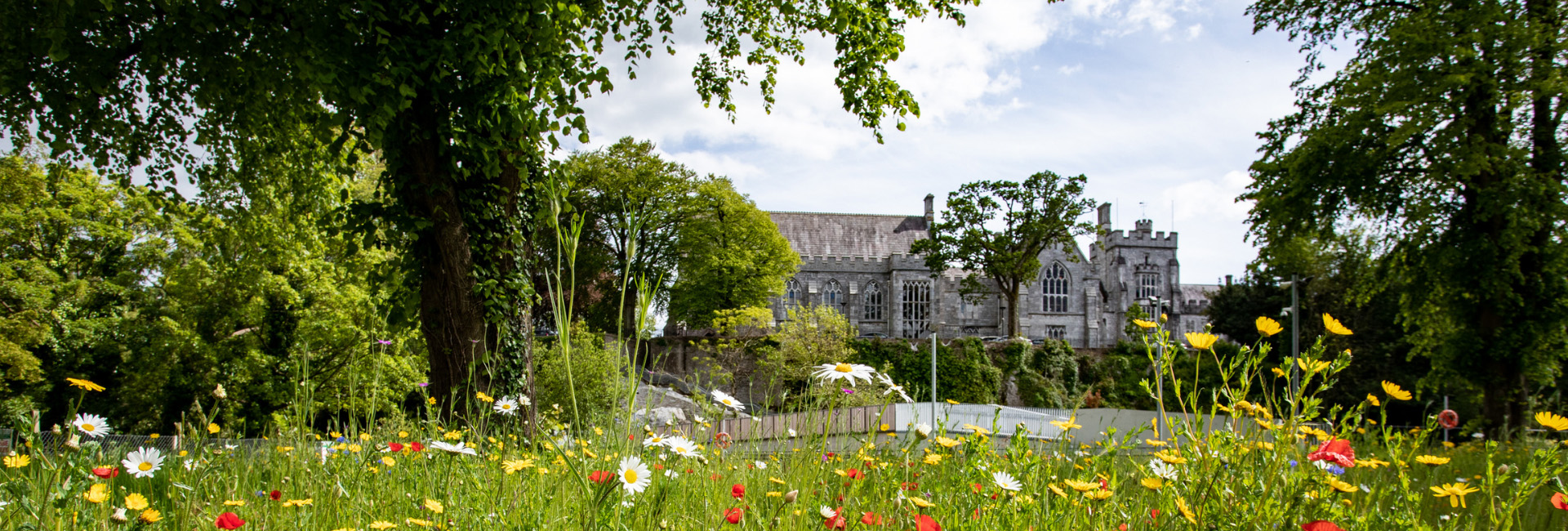 photograph of a flower-filled meadow in front of a large grey castle-like stone building with trees on the edges of the photo