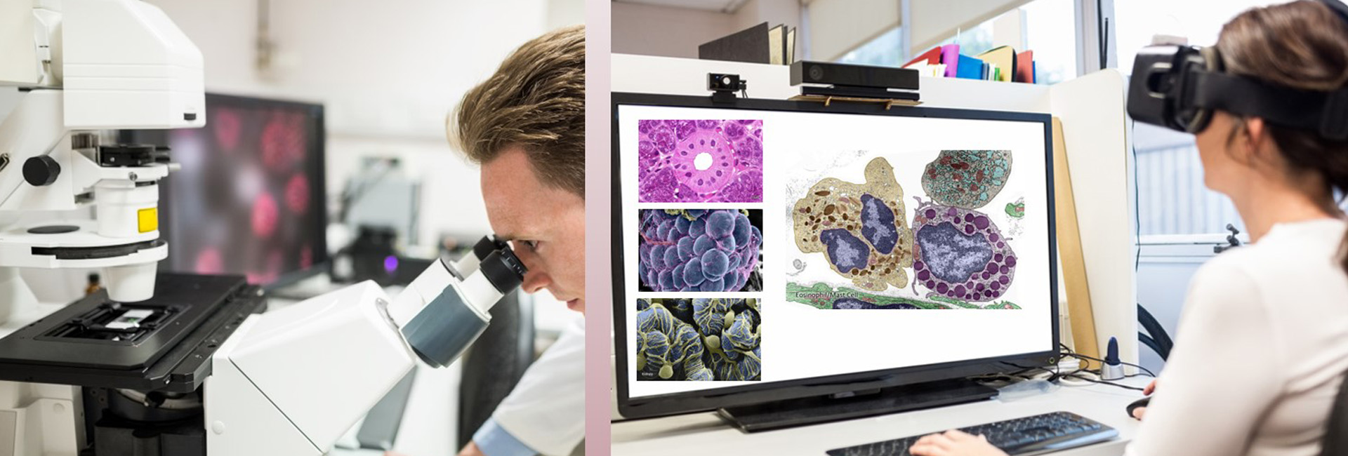 split image with a blond man looking into a microscope on the left and someone at a computer on the right