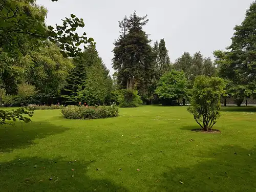 Amenity grassland represented by the President's garden, a green lawn with planted beds, shrubs and trees Amenity grassland represented by the President's garden, a green lawn with planted beds, shrubs and trees