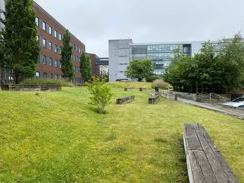Scattered trees and parkland represented by green space outside a redbrick building and a modern glass building with sculptures and greenery Scattered trees and parkland represented by green space outside a redbrick building and a modern glass building with sculptures and greenery