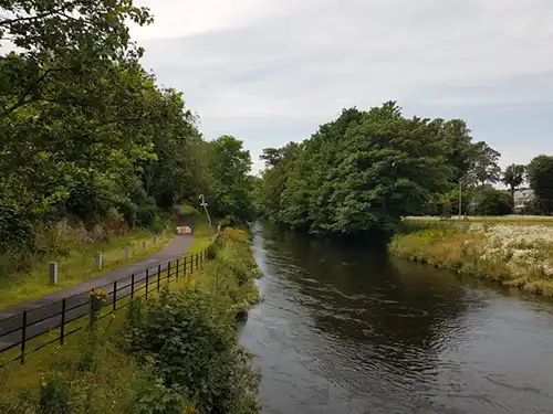 Treelines seen as the River Lee flows through the lower UCC campus with large, green leafy trees on the banks of the river Treelines seen as the River Lee flows through the lower UCC campus with large, green leafy trees on the banks of the river