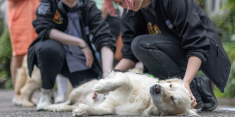 UCC Societies Join Launch of Therapy Dogs at UCC