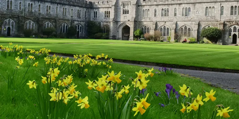 UCC's Sustainability and Climate Action Plan 2023-2028 will be launched on 30th June 23. 