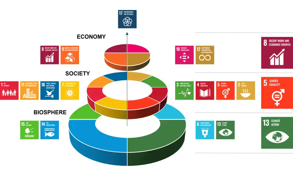 The 17 SDGs mapped to Economy, Society and Biosphere categories